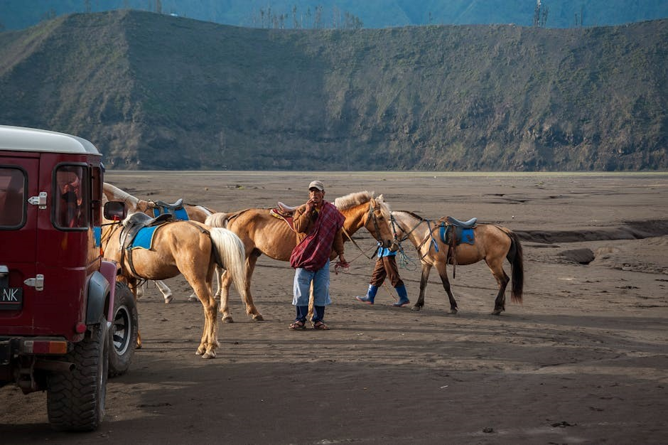 java a beginner’s guide