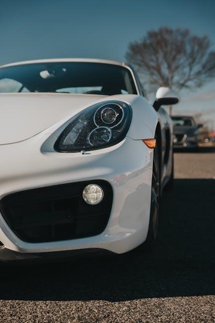 porsche cayenne user manual pdf