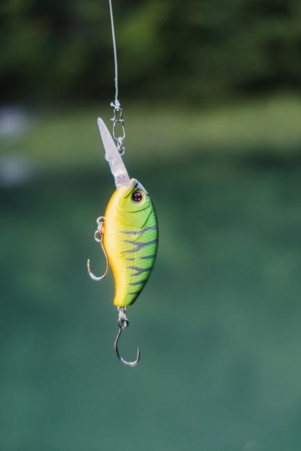 american tackle guides